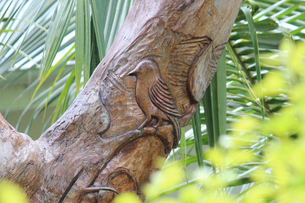 Villa Veuve Casadani Hotel La Digue Buitenkant foto
